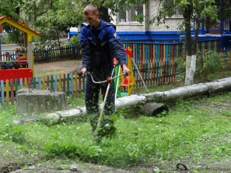 картинка